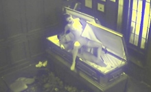 Couple Sex on Coffin